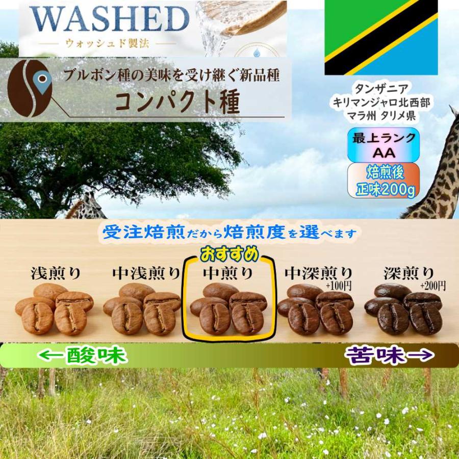 【受注焙煎だから焙煎度が選べます 焙煎後200g】タンザニア  キリマンジャロ北西部タリメ県　品種:コンパクト種　AA(最上ランク)  精選:ウォッシュド | 
