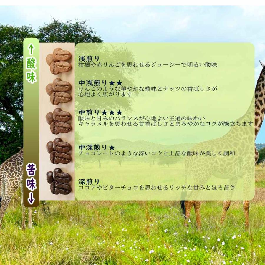 【受注焙煎だから焙煎度が選べます 焙煎後200g】タンザニア  キリマンジャロ北西部タリメ県　品種:コンパクト種　AA(最上ランク)  精選:ウォッシュド |  | 01