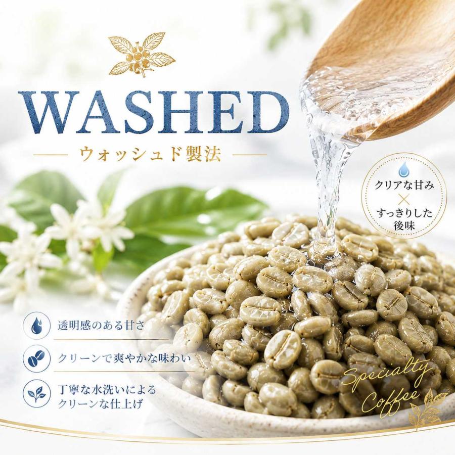 【受注焙煎だから焙煎度が選べます 焙煎後200g】タンザニア  キリマンジャロ北西部タリメ県　品種:コンパクト種　AA(最上ランク)  精選:ウォッシュド |  | 03