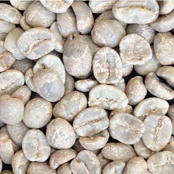 【受注焙煎だから焙煎度が選べます 焙煎後200g】タンザニア  キリマンジャロ北西部タリメ県　品種:コンパクト種　AA(最上ランク)  精選:ウォッシュド |  | 04