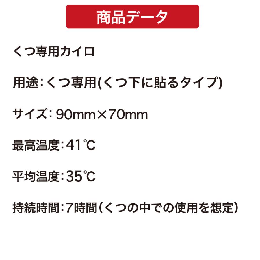 (アウトレットE) 全国送料無料【白・30足組】ホッカイロ くつ下用 貼るカイロ 靴下用  興和 ホッカイロ 日本製 使い捨てカイロ | ホッカイロ ぬくぬく当番 | 07