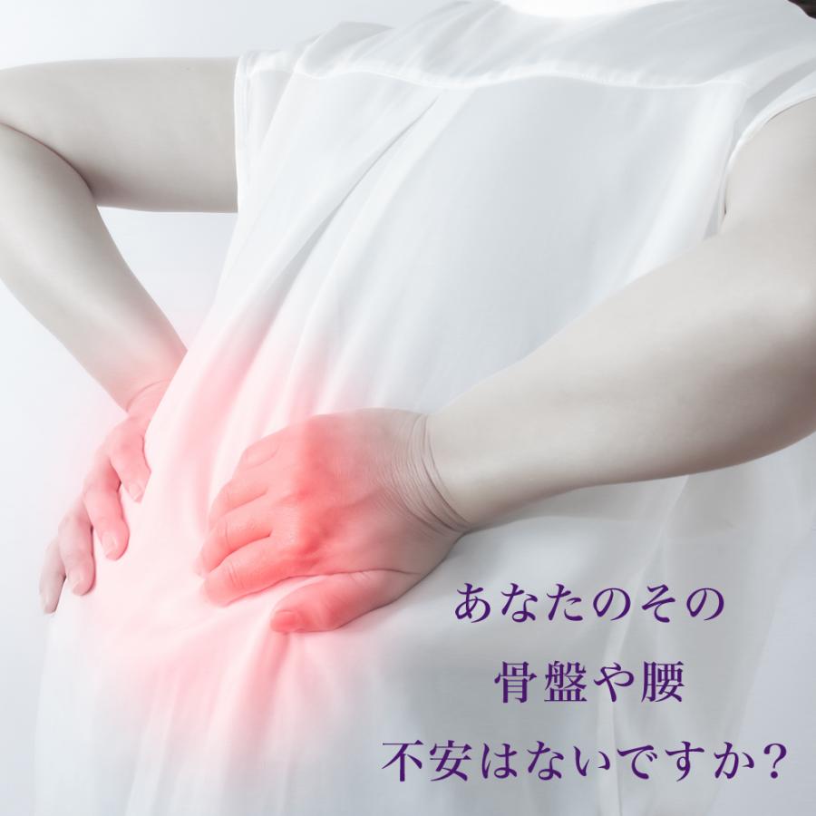 骨盤がっちりベルト 腰痛 コルセット 腰サポーター 腰ベルト 腰 こし サポーター 姿勢 矯正 サポート ベルト 男性用 女性用 ぎっくり腰  滑車 |  | 01