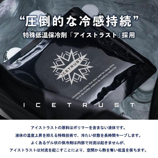 ニッキー アイストラスト 特殊低温保冷剤 ICETRUST 1個 クール |  | 01