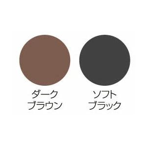 白髪隠し 頭皮・髪用カバーファンデーション 椿油 シルク 配合 生え際 分け目 白髪 薄毛カバー |  | 02