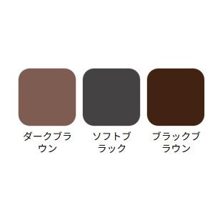 白髪隠し 頭皮・髪用カバーファンデーション 椿油 シルク 配合 生え際 分け目 白髪 薄毛カバー |  | 02