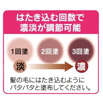 白髪隠し 頭皮・髪用カバーファンデーション 椿油 シルク 配合 生え際 分け目 白髪 薄毛カバー |  | 03