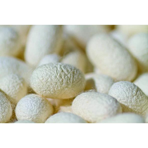 白髪隠し 頭皮・髪用カバーファンデーション 椿油 シルク 配合 生え際 分け目 白髪 薄毛カバー |  | 04
