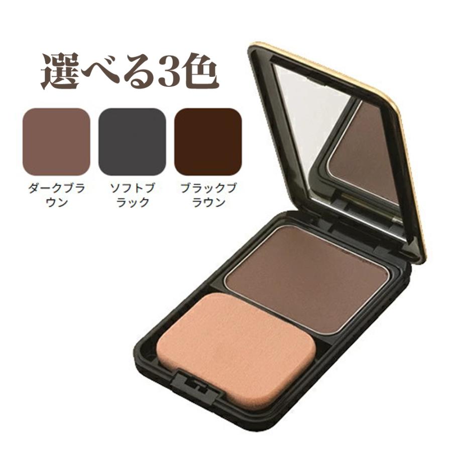 白髪隠し 頭皮・髪用カバーファンデーション 椿油 シルク 配合 生え際 分け目 白髪 薄毛カバー |  | 06