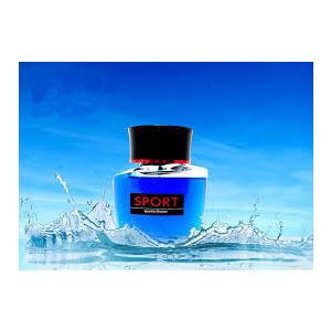4個セット SHALDAN SPORT for CAR 芳香剤 クルマ用 クルマ リキッドタイプ 100ml　シャルダン エステー　フレグランス　車用　カー用品　送料無料 | エステー | 10
