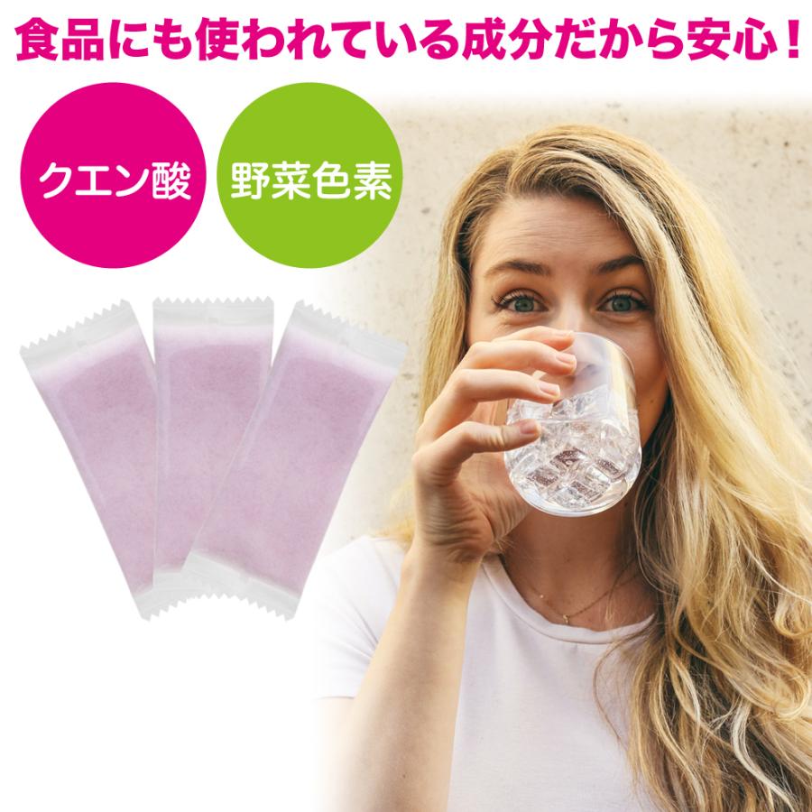 【6個セット】日本製 製氷機 洗浄 おいしい氷 製氷機洗浄 製氷機クリーナー 製氷器 除菌 掃除  洗浄剤 冷凍庫 製氷皿 自動製氷機 クエン酸 |  | 04