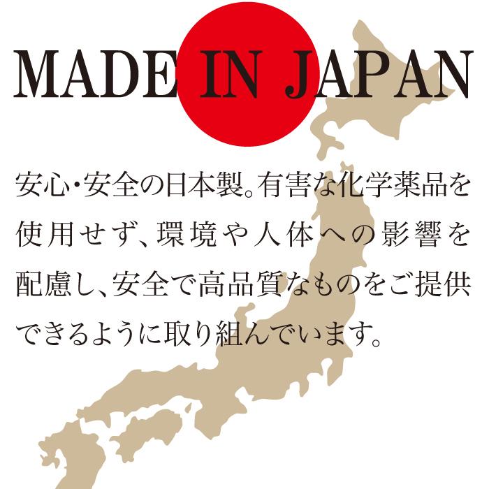 【3回分】日本製 製氷機 洗浄 おいしい氷 製氷機洗浄 製氷機クリーナー 製氷器 除菌 掃除  洗浄剤 冷凍庫 製氷皿 自動製氷機 クエン酸 |  | 05