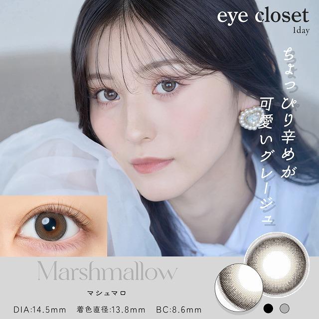 eye closet（アイクローゼット） カラコン ワンデー 10枚入 当日発送