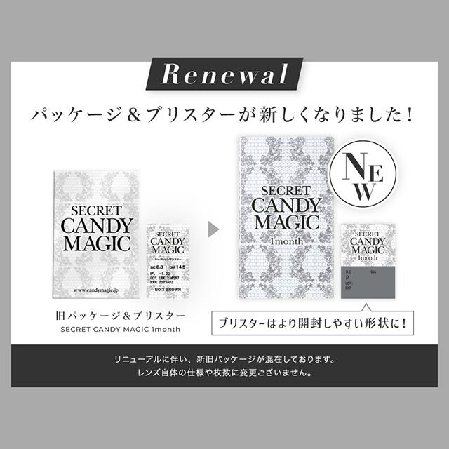 カラコン 1ヶ月 度なし シークレット キャンディーマジック 1箱2枚入り 14.5 1month マンスリー candymagic 板野友美 コンタクト | シークレット キャンディーマジック | 23