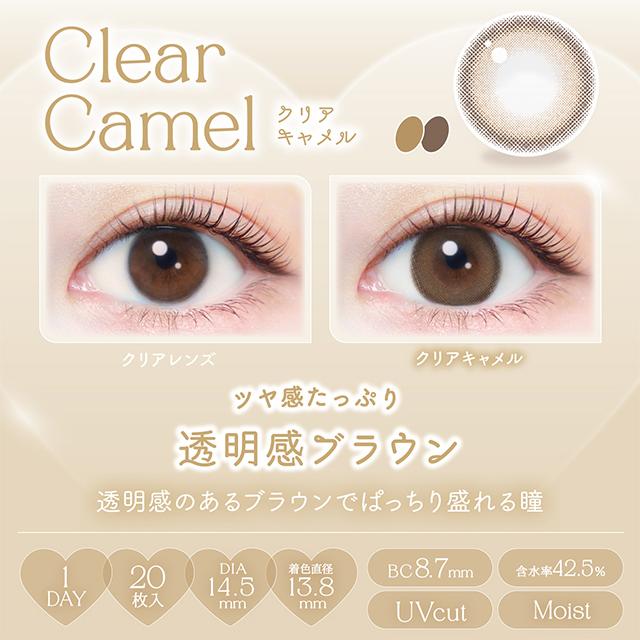 【20％OFFクーポン】カラコン エバーカラー ワンデー ナチュラル 1箱20枚入 Ever Color 1day 度あり 度なし 度付き 新木優子 | Ever Color | 22