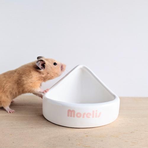 小動物用品　餌やり　食器　陶器　ハムスター　ハリネズミ　デグー　モルモット　チンチラ　うさぎ　小鳥　コーナー型マルチディッシュL |  | 01