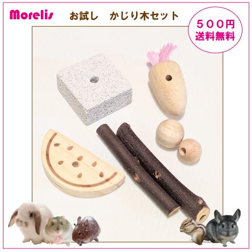 かじり木 お試しセット 送料無料 おもちゃ リス ハムスター チンチラ デグー ハリネズミ うさぎ 歯の伸びすぎ防止 ストレス発散 M01 Morelis 通販 Yahoo ショッピング