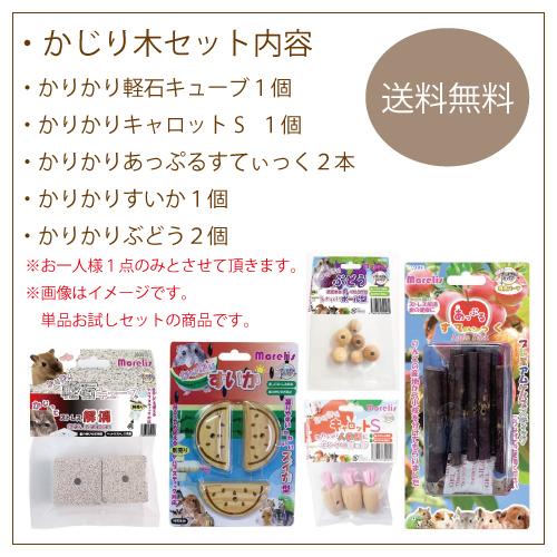 かじり木 お試しセット 送料無料 おもちゃ リス ハムスター チンチラ