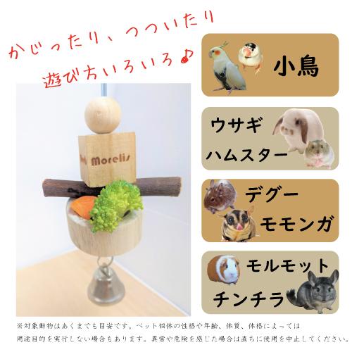 お試しセット　かじり木　おやつカップ付きオリジナルトーイ　プレミアムケバブL　送料無料　お試し価格 |  | 02