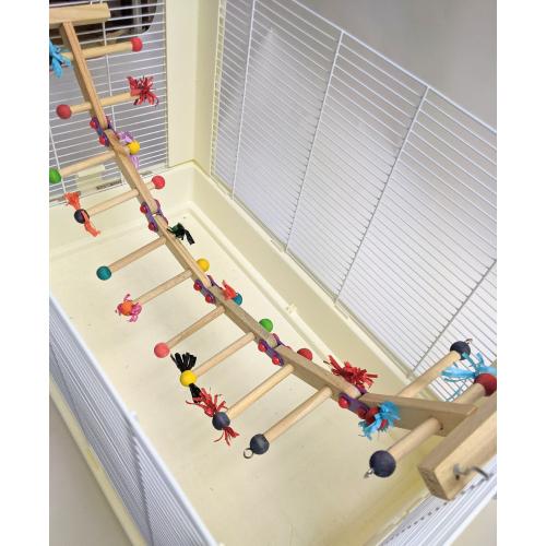 鳥用品　おもちゃ　はしご　小鳥　小鳥のカーニバルラダ―L　　 |  | 01