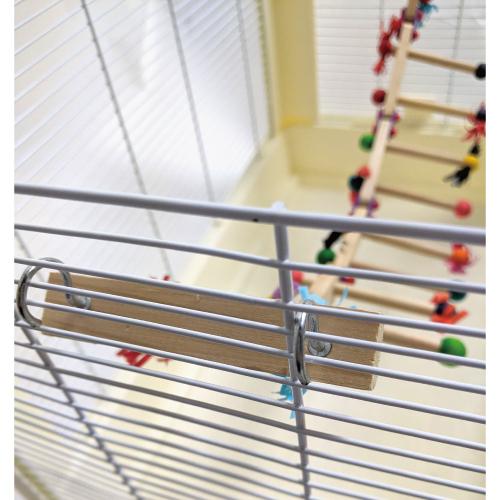 鳥用品　おもちゃ　はしご　小鳥　小鳥のカーニバルラダ―L　　 |  | 03