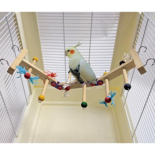 鳥用品　おもちゃ　はしご　小鳥　小鳥のカーニバルラダ―L　　 |  | 04