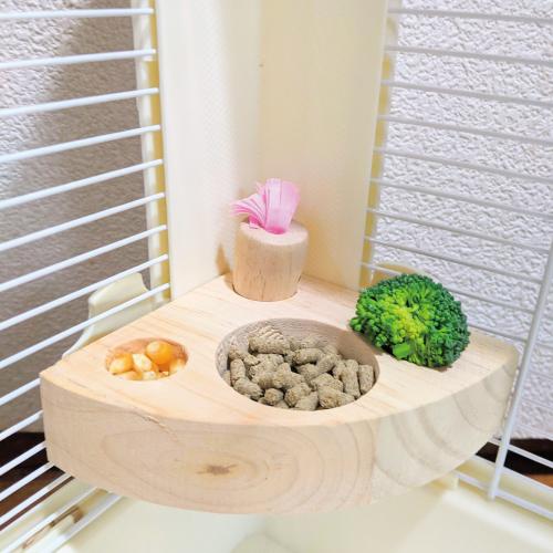 小動物用品　エサ入れ　餌入れ　おやつ入れ 　木製品　キャロット畑 | 
