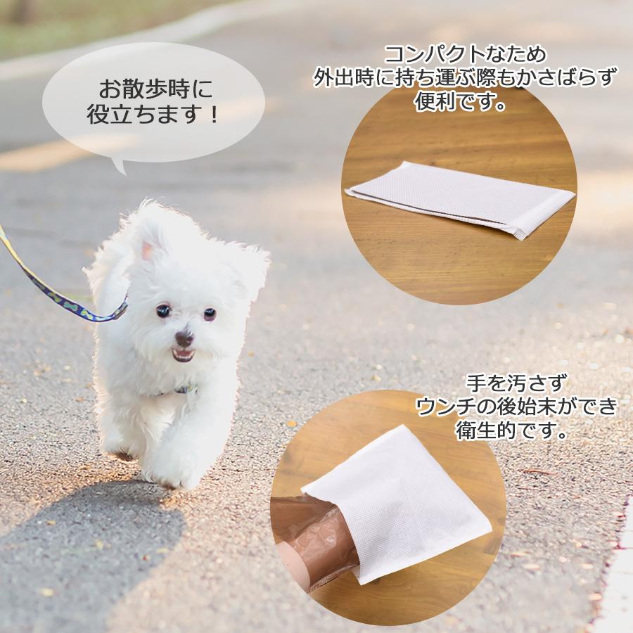 ケース　トイレに流せるお散歩用エチケットパック　27×23cm　1000枚　(100枚×10パック)　業務用　大容量　まとめ買い　箱　送料無料 | スタイルプラス | 03