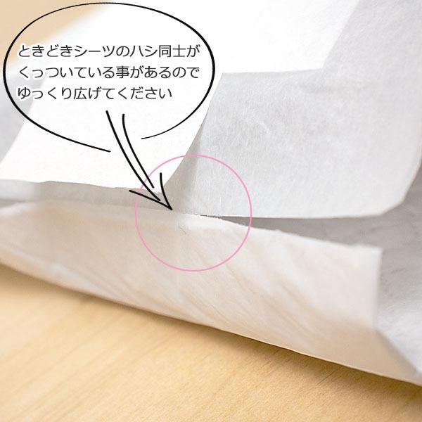 約72g/枚　ケース　厚型炭入りペットシーツ　スーパーワイド　90×60cm　100枚　(25枚×4パック)　業務用　大容量　まとめ買い　箱　送料無料 | スタイルプラス | 15