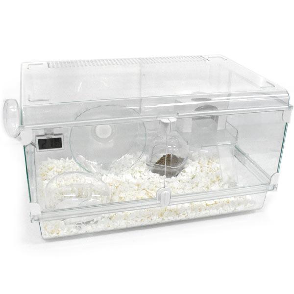 GEX　グラスハーモニー600high　ハムスター飼育セット グラスハーモニー600 ハムスター飼育セット ペットケージ Amazon