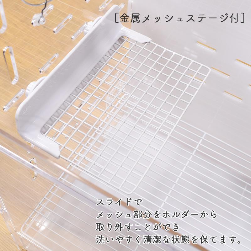 GEX（ジェックス） アクリルルーム III 500High フクロモモンガ/デグー