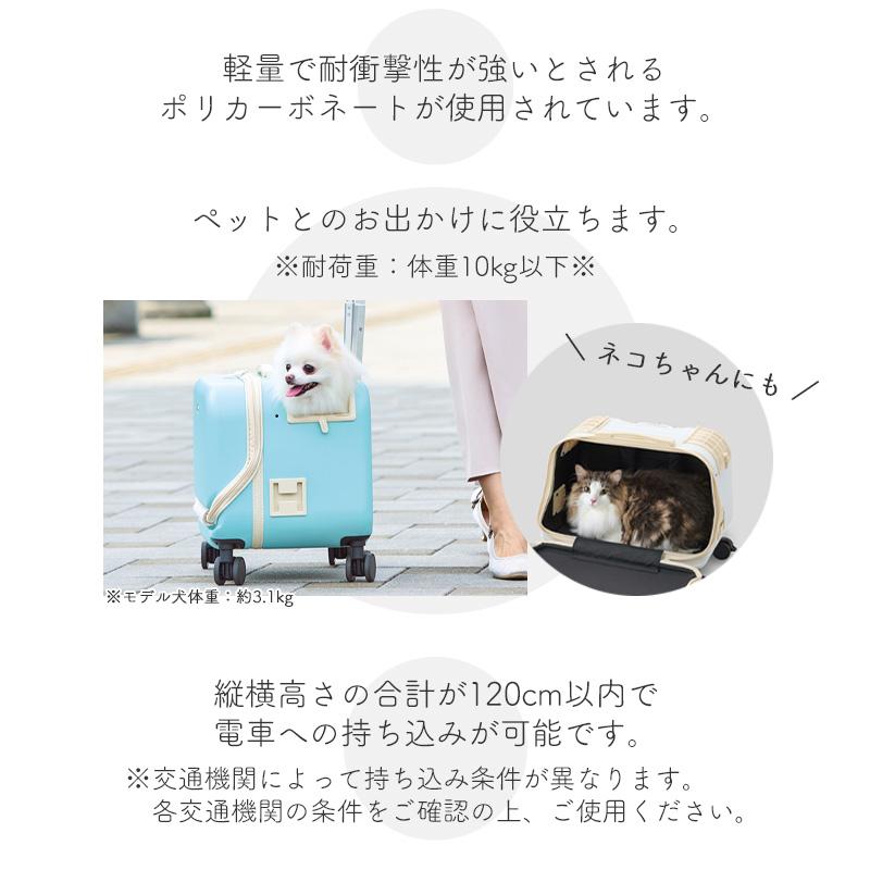 OSOTO GEX OSOTO コロフィー M ミルク / モカ アクア 10kg以下 犬用 猫