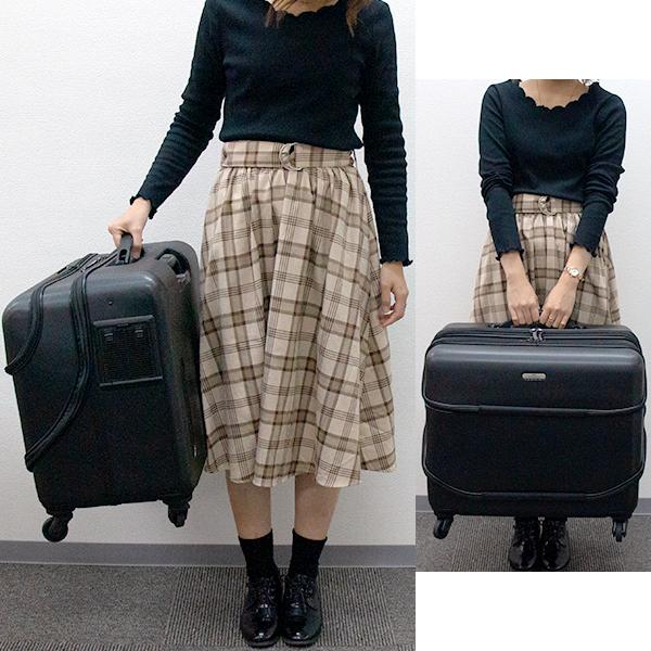 GEX GEX OSOTOキャリー roller ローラー L ブラック 小型犬 中型犬