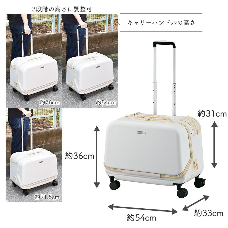 GEX（ジェックス） GEX OSOTO コロフィー L ミルク 15kg以下 犬用 猫用