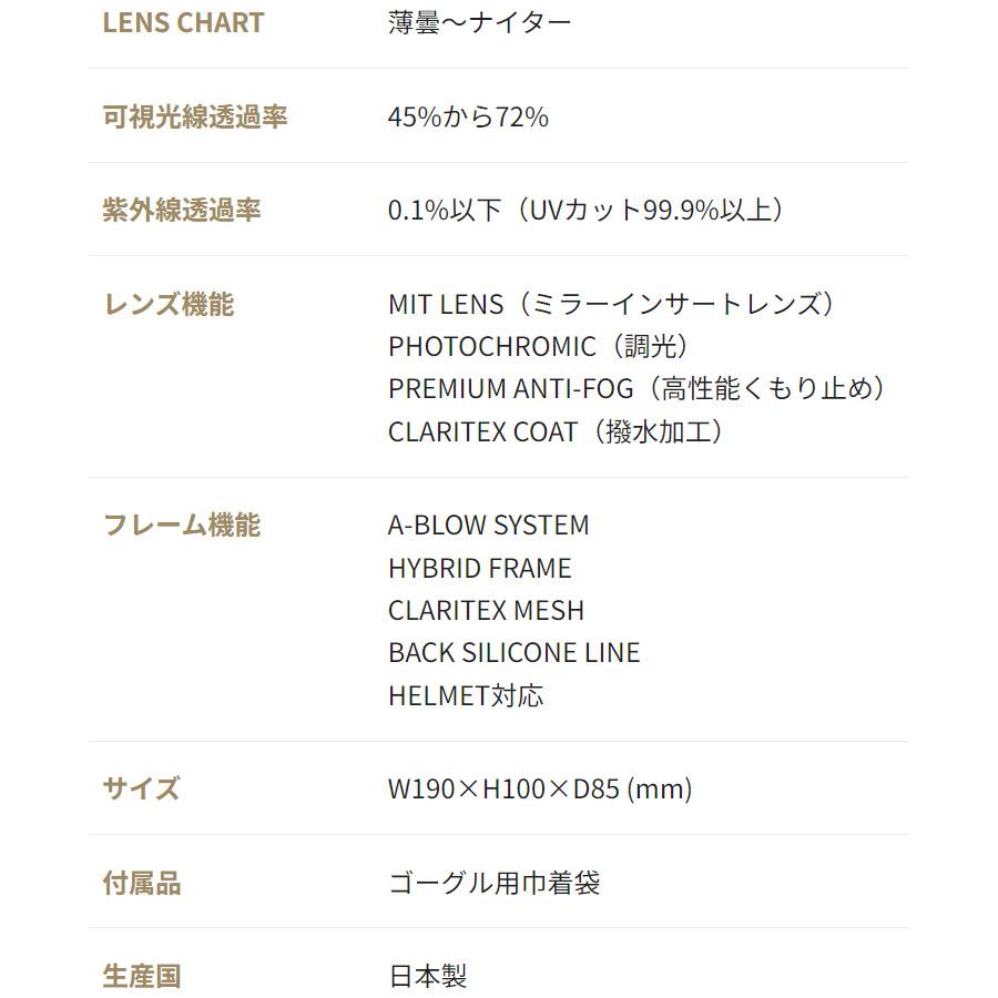 DICE（ダイス） 2025 DICE BANK バンク スノーボード ゴーグル BK45191