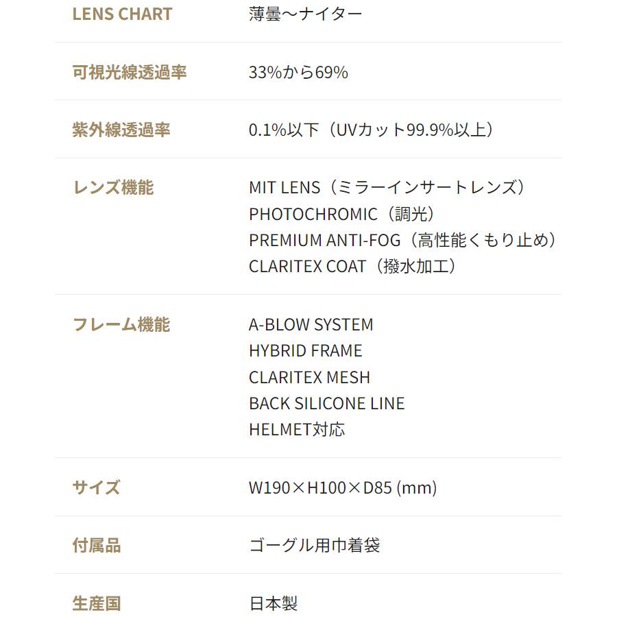 DICE（ダイス） 2025 DICE BANK バンク スノーボード ゴーグル BK45190