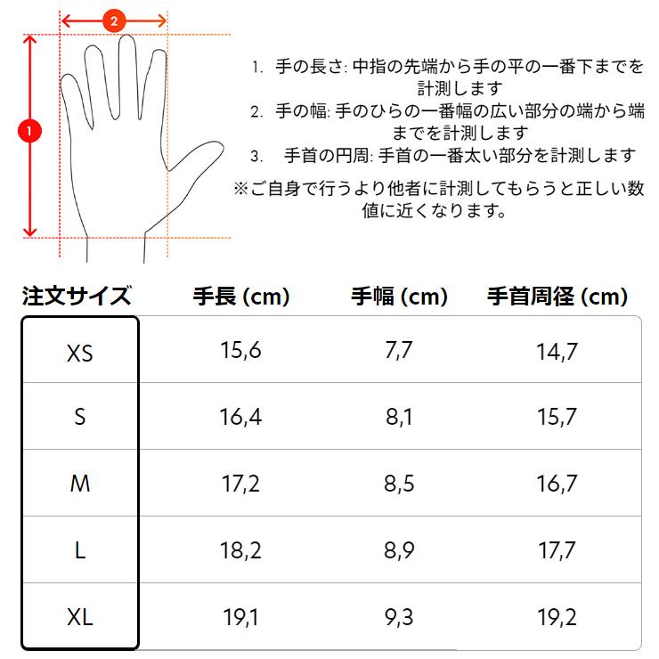 【新品】SALOMON PROPELLER GORE-TEX U / Lサイズ SALOMON（サロモン） 24-25 SALOMON PROPELLER GORE-TEX U