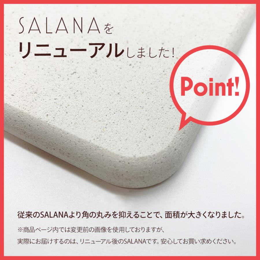 【アスベスト検査済】 SALANA 珪藻土バスマット 日本製 珪藻土マット ミニサイズ 小 速乾 白 おしゃれ 洗える ノンアスベスト 29cm×44cm｜morevalue｜13