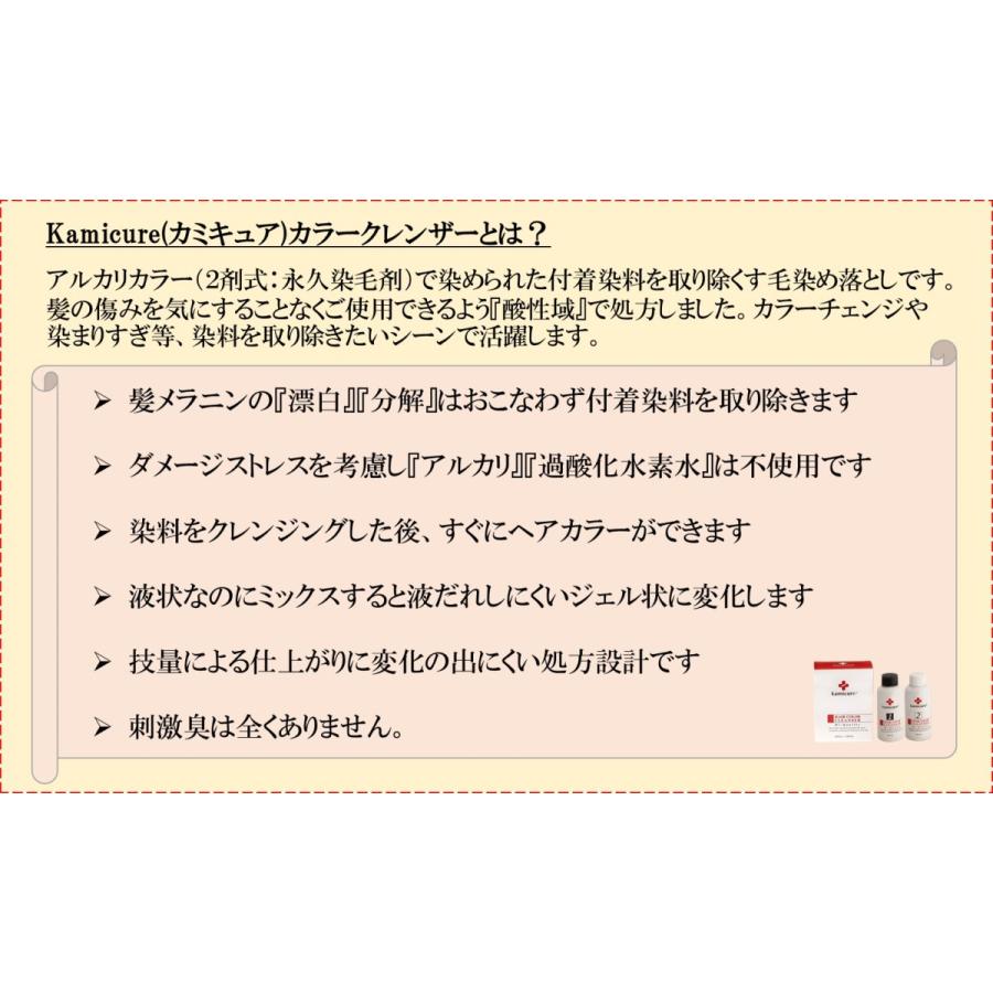 カミキュア（kamicure) カラークレンザー100（プロフェッショナル用 毛