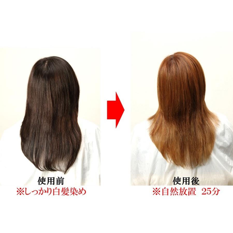 カミキュア（kamicure) カラークレンザー100（プロフェッショナル用 毛