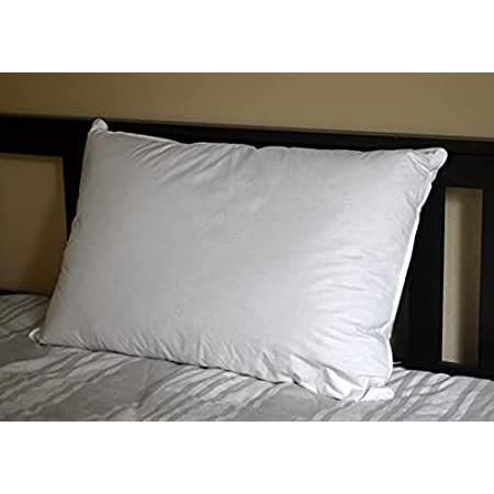 Down Etc Hypoallergenic 50 50 Goose Down Queen Pillow, White by Down Etc＿並行輸入品