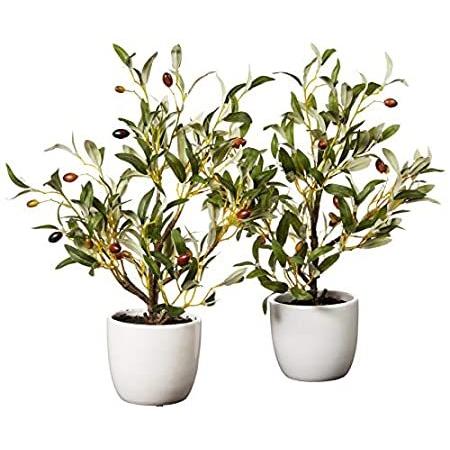Nearly Natural 4774-S2 オリーブ装飾シルクツリー 花瓶付き 18インチ グリーン＿並行輸入品