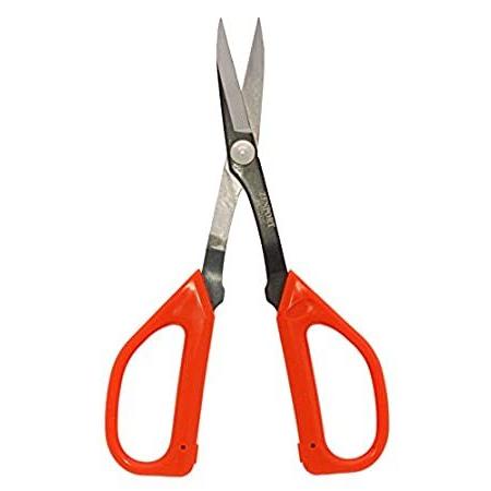 Zenport ZS106 Scissors for Bonsai and Floral Pruning, 8.3-Inch, Box of 10 O＿並行輸入品