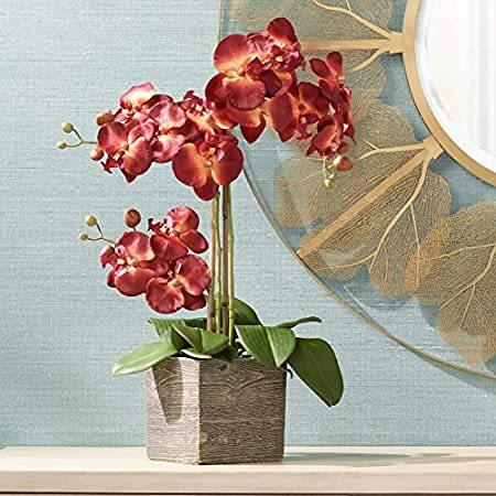 Studio 55D レッドオーキッド 26インチ シルク鉢植え＿並行輸入品