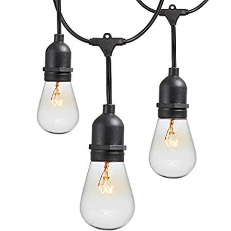 Newhouse Lighting Outdoor String Lights with Hanging Sockets | Weatherproof＿並行輸入品