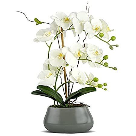 Lifelikeシルク0rchidの装飾セラミック花瓶、鮮やかな人工花Arrangement, p0tted 0rchid plant L ホワイト＿並行輸入品