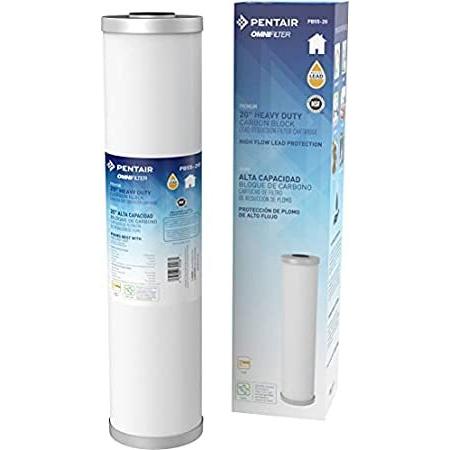 Pentair OMNIFilter PB55-20 Carbon Water Filter, 20-Inch, Whole House Premiu＿並行輸入品