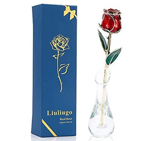 未使用の新品です 彼女へのギフト 24kゴールドローズ 本物の新鮮な長い茎のバラの花 バレンタインデー 母の日 クリスマス 記念日 誕生日 E レッド 好評販売中 の公式サイト Visitylojarvi Fi
