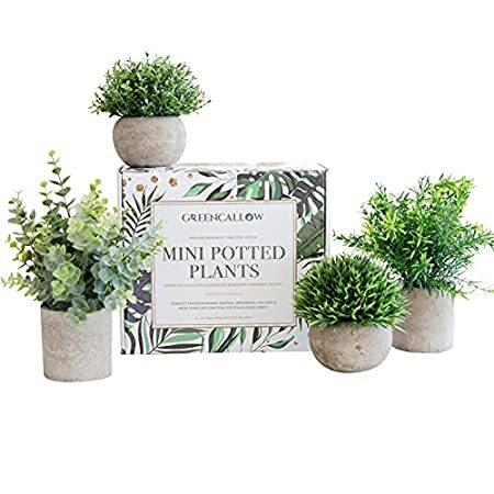 GreenCallow Artificial Mini Potted Plants (Set of 4) Faux Fake Plastic Gree＿並行輸入品