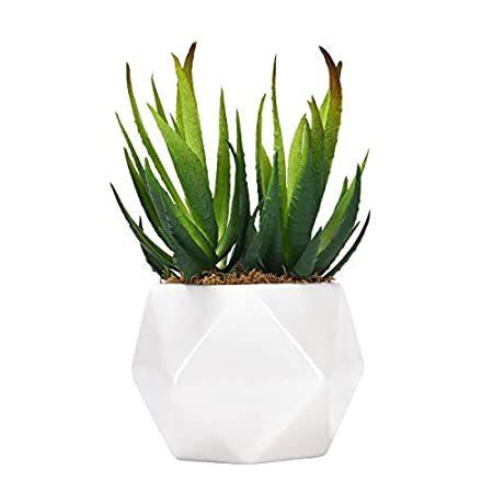 シャイニーフラワー 人工多肉植物 人工アロエ植物 偽の多肉植物 現実的な多肉植物 アレンジメント花 ギフト 1 Pcs＿並行輸入品