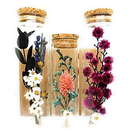 GoldenTBox ハンドメイドプリザーブドリアルフラワー ガラスボトル入り ガールフレンド、お母様、奥様、ホームオフィスデスクテーブル装飾 誕生日＿並行輸入品